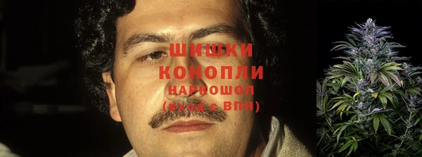 винт Белокуриха