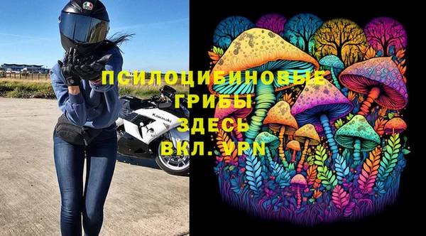 винт Белокуриха