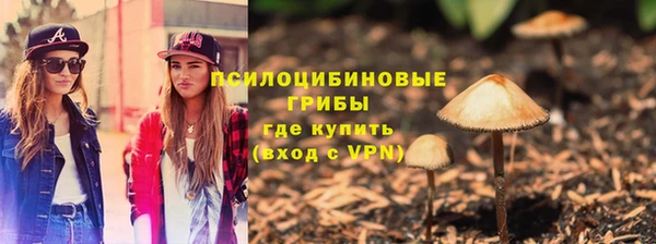 мяу мяу мука Беломорск