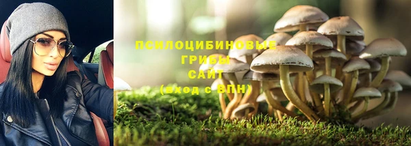 винт Белокуриха