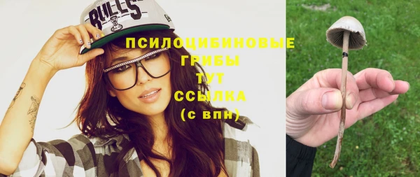 мяу мяу мука Беломорск