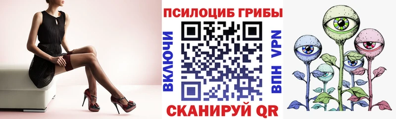 Галлюциногенные грибы мицелий  где можно купить наркотик  Покровск 